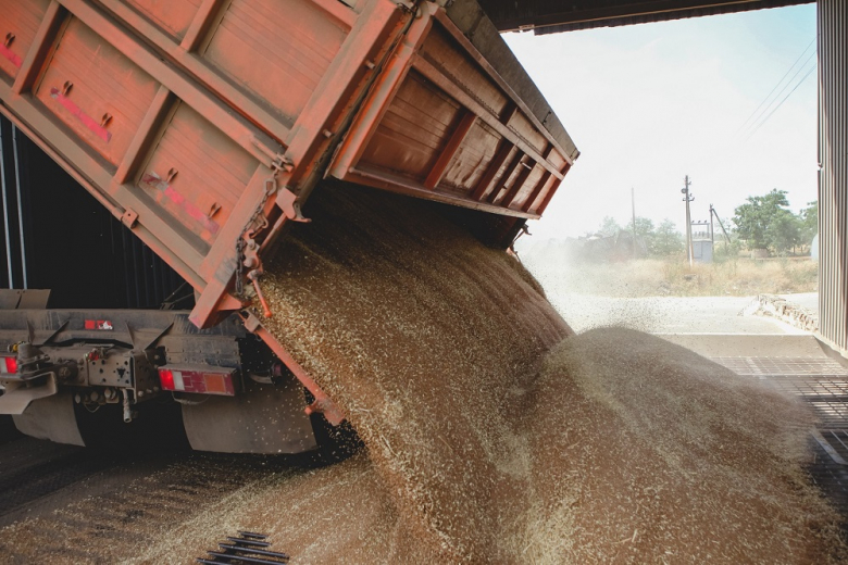 На Дону собрали более трёх миллионов тонн зерна 